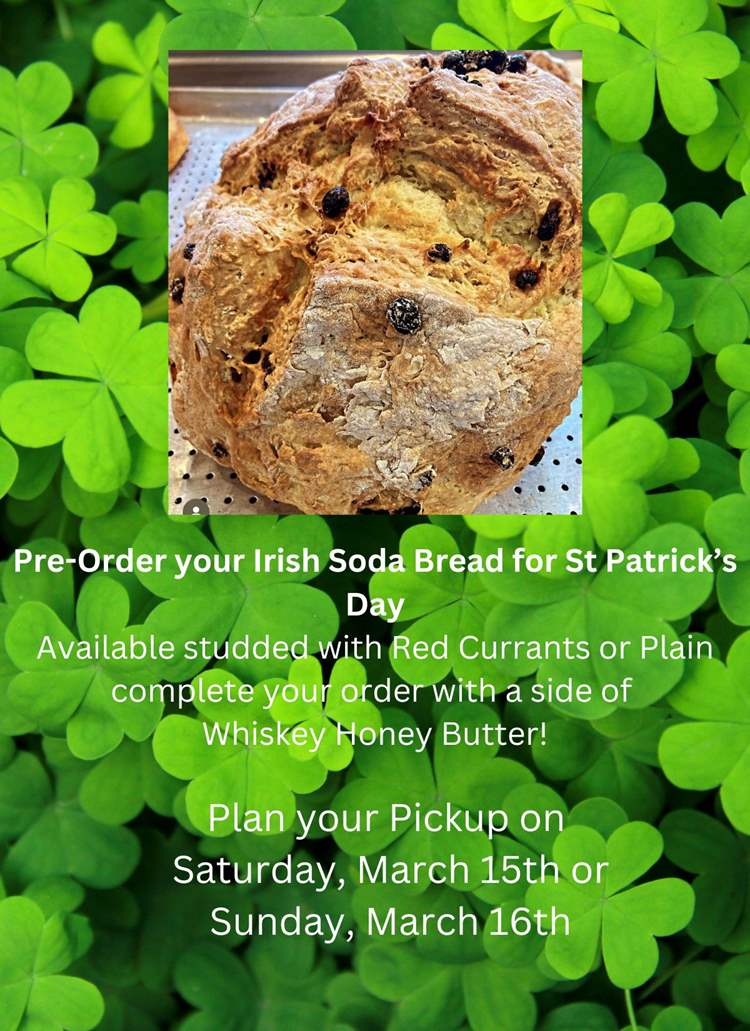 a loaf of Soda bread sits on a background of clovers with a message about pre-order